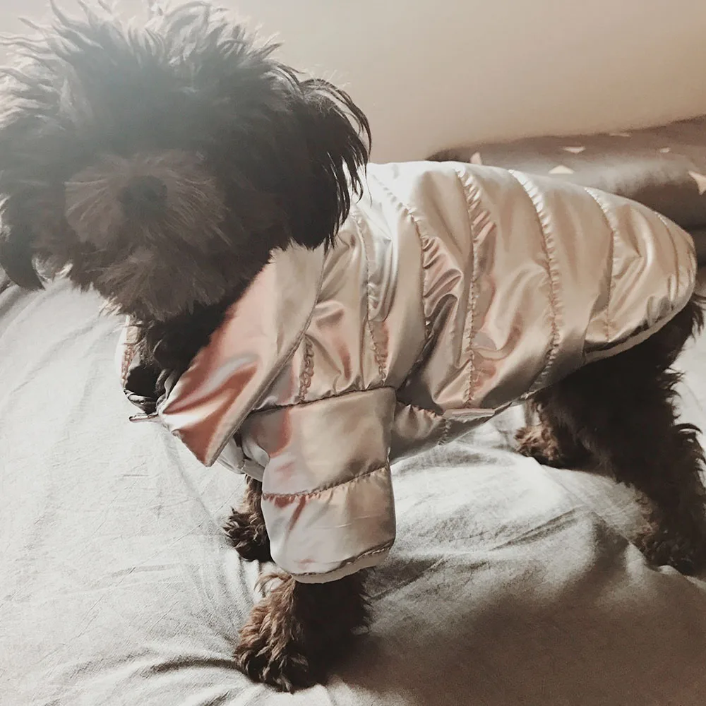 Title 11, Puppy Pet Dog Clothes Outdoor Windproof Waterpr...