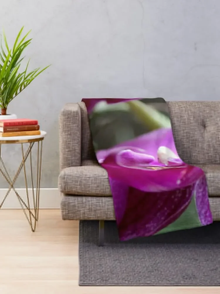 ����� ���� ������ ���, �ε巯�� ħ��, ���Ÿ� �β��� ���, ����