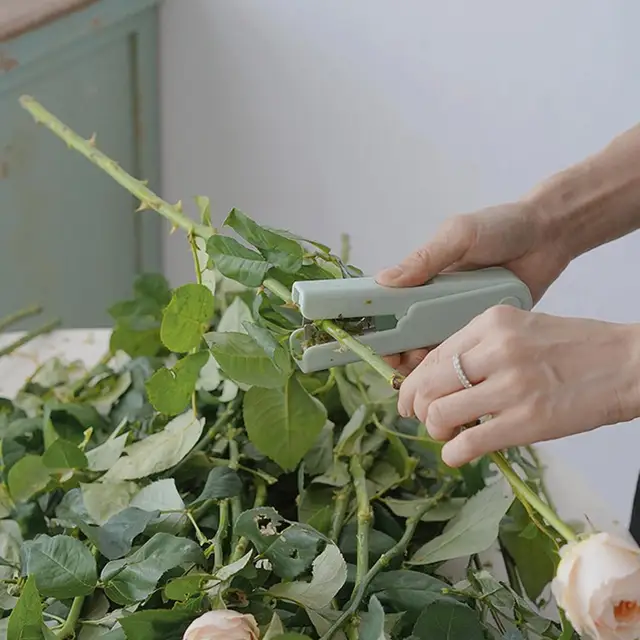 Rose Thorn Sztriptíz Auto Csat Ujjhorony Hordozható Virág Szár Levélpisztolék Eltávolító Fogók Kertészeti Kellékek - Image 5