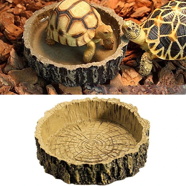 Bol d'eau et de nourriture pour animaux de compagnie, ornement d'aquarium,  Terrarium, tortue, assiette, plat, lézards, petits Reptiles, fournitures -  AliExpress