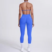 Women 2pcs Patchwork Sport Yoga Suit Training Sleeveless Sport Gym Tops Tummy Control Slimming Booty Leggings Yoga Suit Sports - Image 3