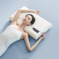 Memory Foam Pillow
