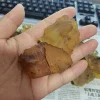 Natural Baltic Amber Loose Gemstone Rough Raw Stone Natural Resin Mineral Specimens 1