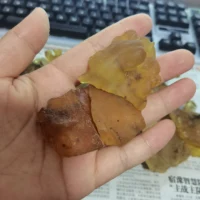 Natural Baltic Amber Loose Gemstone Rough Raw Stone Natural Resin Mineral Specimens 1