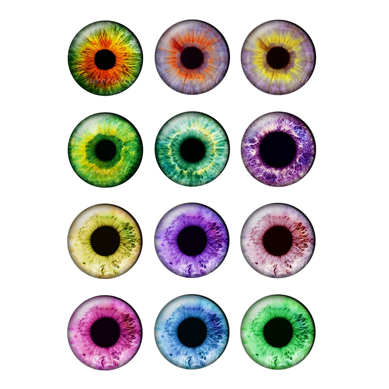 DIY 공예품용 초박형 유리 카보숑 인형 눈 칩, BH172, 봉지 당 12 쌍, 14mm