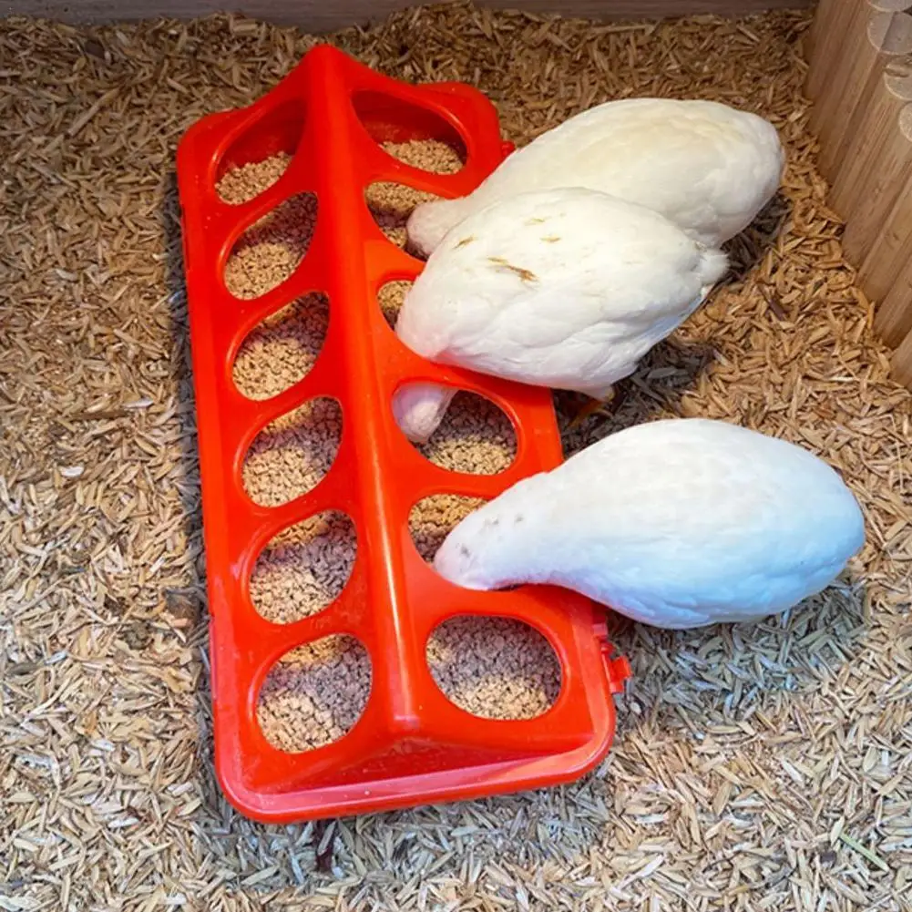 Poultry Thickened Feeder And Drinker Water Food Dispenser Chicken Birds Chick Waterer Feeding Bucket Container