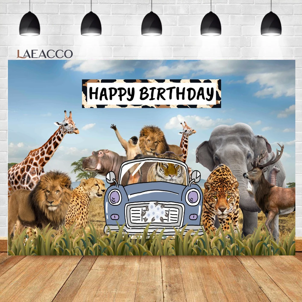 Laeacco      ĸ Ƽ  , ̺  ,  