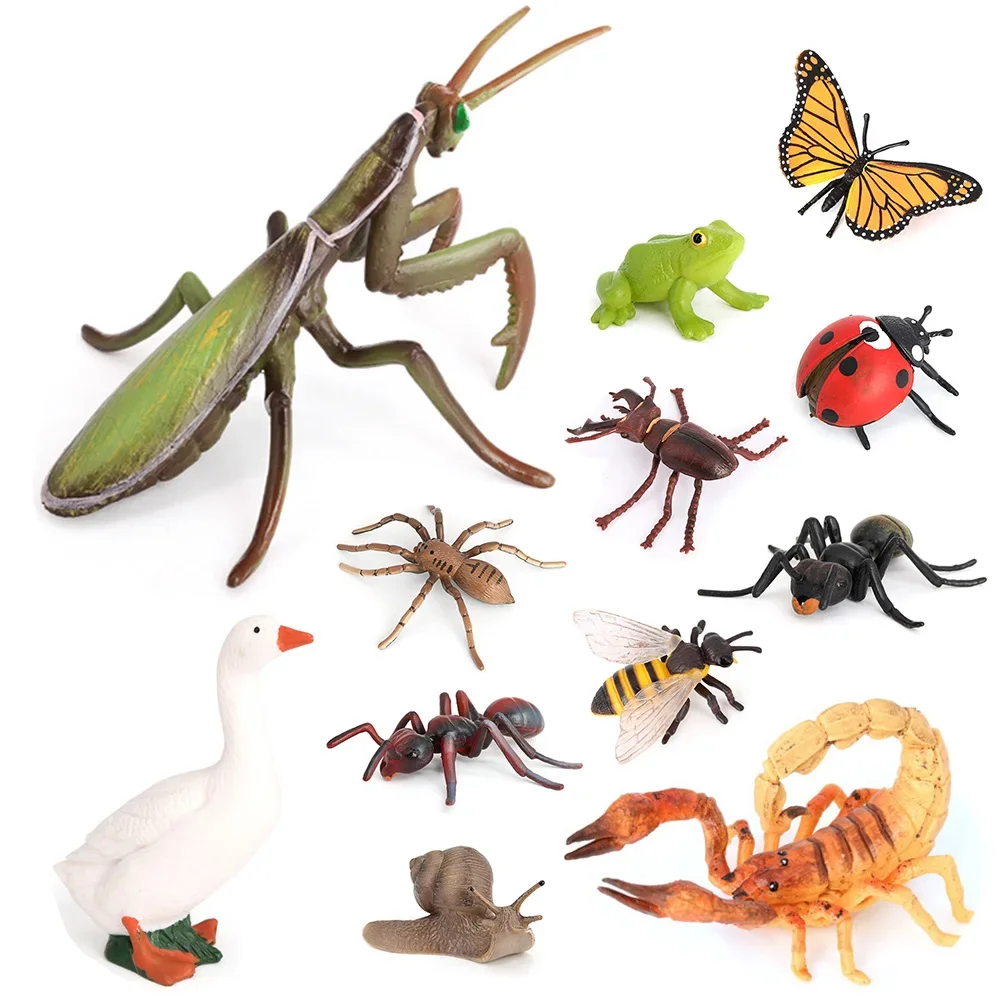 Realistic Animal Models Home Collectible Ornament Educational Insect Frog Crocodile Octopuses Animal Life Cycles Children's Gift