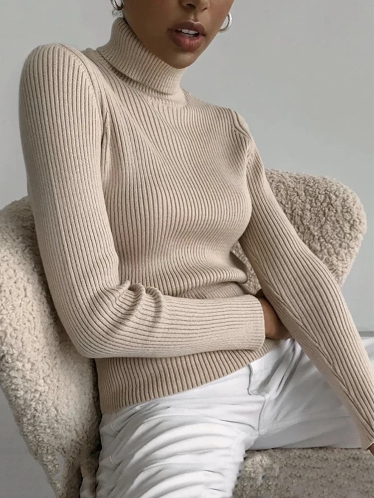 Turtleneck Autumn Winter Sweaters Casual Basic Slim Pullover