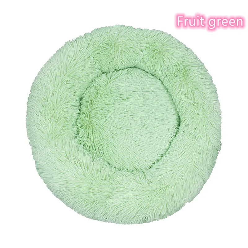 Fruit Green