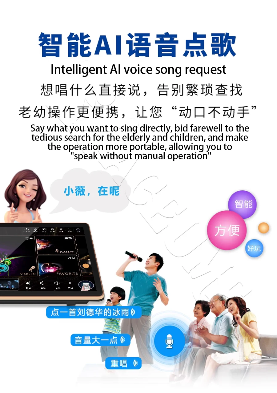 5 in 1 Professional Touch Karaoke Player with Microphone Amplifier Mixer DSP, 2TB 41K 19'' InAndOn KTV Machine with Key Tune