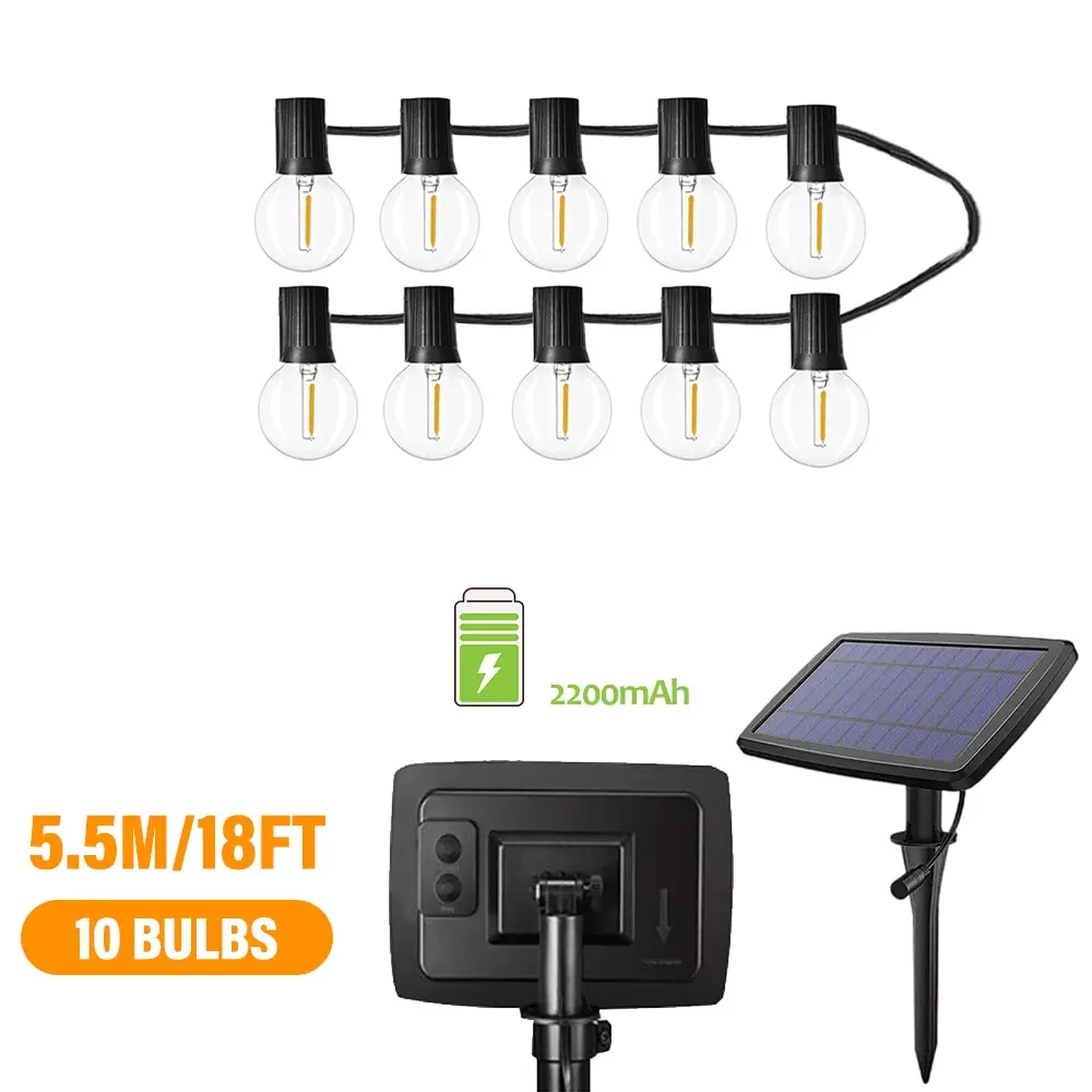 5.5M-10 Bulbs