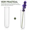 5pcs Glass Test Tube Propagation Stations Glass Propagation Hydroponics Vase Plant Terrarium Bottles Container Flower Holder 2