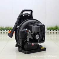 Fiber Snow Blower EB650 Two Stroke 1E48FP Engine Backpack Leaf Blower Garden Power Tools 63.3cc Portable Gasoline Air Blower 2