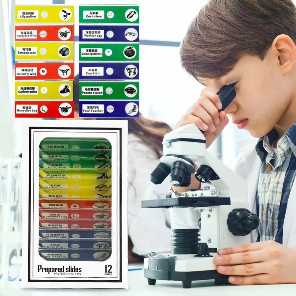 Kids Science Microscope Lab LED Light Battery Powered Handheld Microscope Light Home School Biological Science Educational Toys