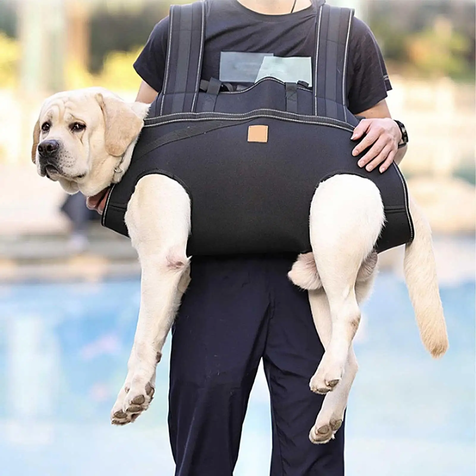 Dog Lifting Harness Hip Support Harness Breathable Adjusable Sling For Mobility Daily Walking Movement Senior Care Assisted