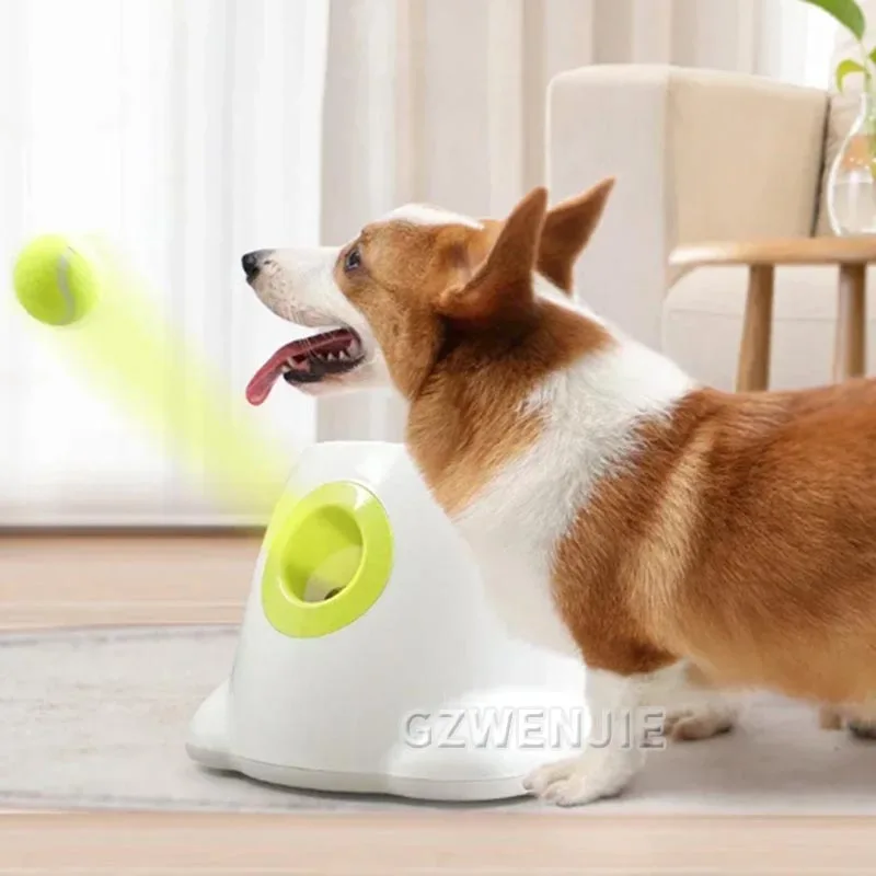 

Catapult For Dogs Ball Launcher Dog Toy Tennis Ball Launcher Jumping Ball Pitbull Toys Tennis Ball Machine Automatic Throw Pet