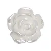 50pcs Cute New Resin Mini 3D White Plated Rose Nail Rhinestones Gems Glitter Nail Art Jewelry Manicure Nail Art Decorations 5