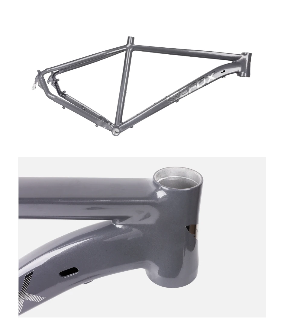 MTB Frame 29er for Disc Brake 44x55mm Tapered Tube Bike 9x100mm
