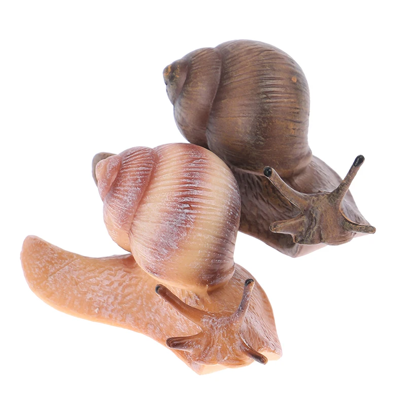 Simulation animal insect model mini animal snail growth cycle ornament 4