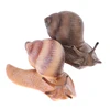 Simulation animal insect model mini animal snail growth cycle ornament 4