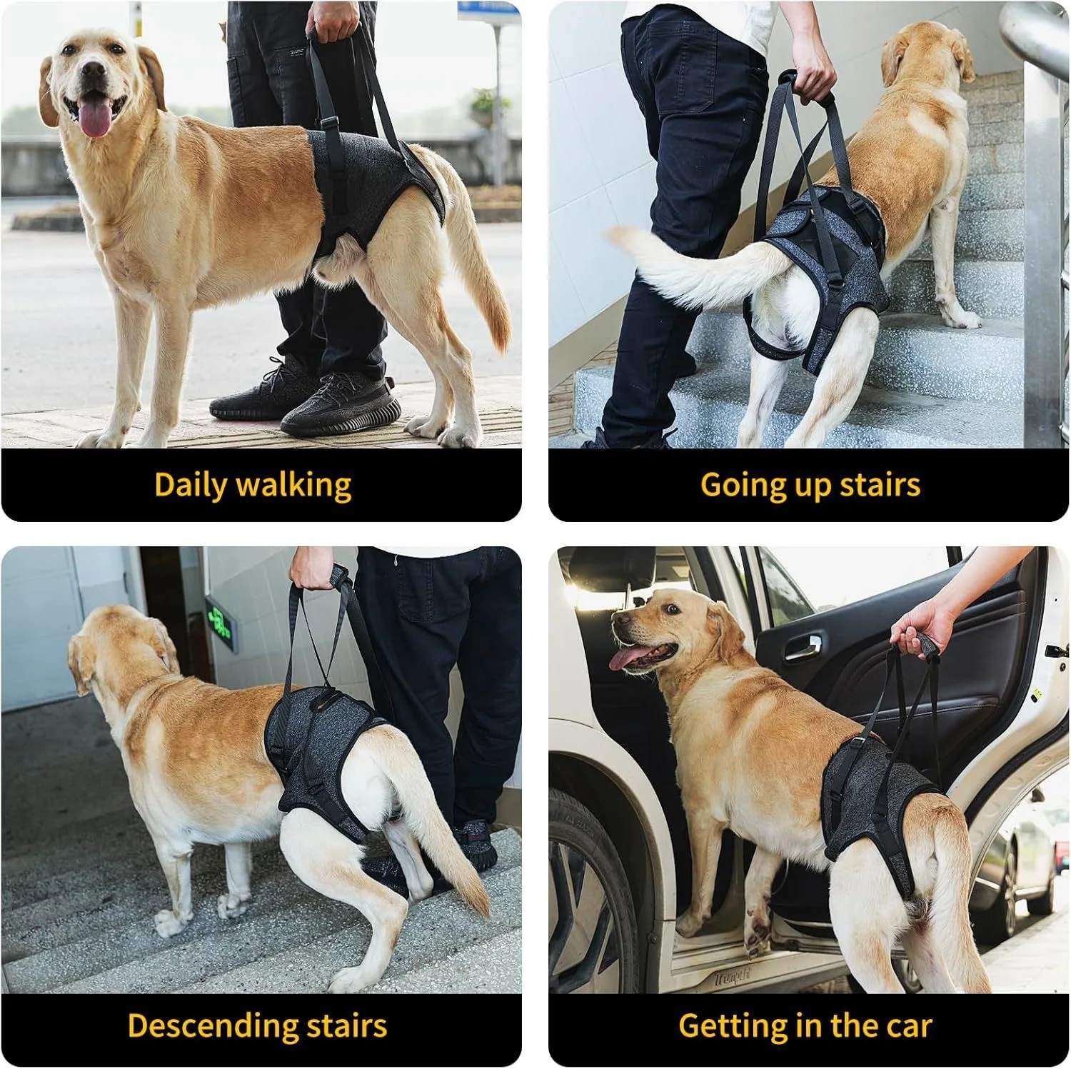 Best-Selling Pet Products For Injured Dogs With Hind Legs Support And Forrly injured dog rehabilitation straps with traction as