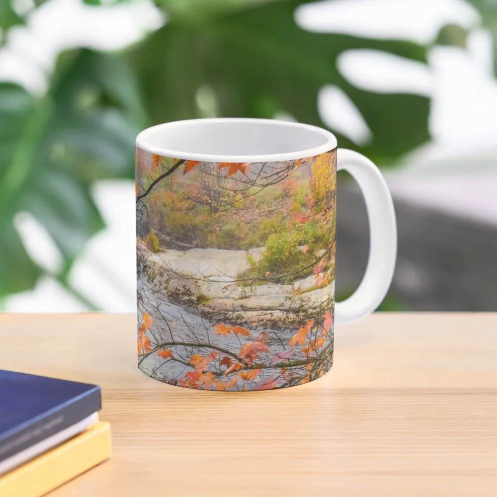 

Misty Morning, Algonquin ParkCoffee Mug Ceramic Cups Mug Cup