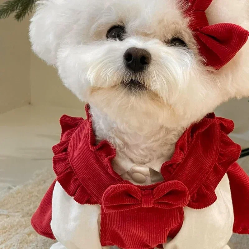 Thick Warm Fleece Hoodie for Pets, Matching Colors, Winter Clothing, Cats and Dogs, New, , Spring