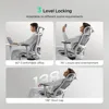 E2 Ergonomic Office Chair, 6-Way Dynamic Lumbar Support, 3D Adjustable Armrests, 3D Adjustable Headrest, Office Chair 6