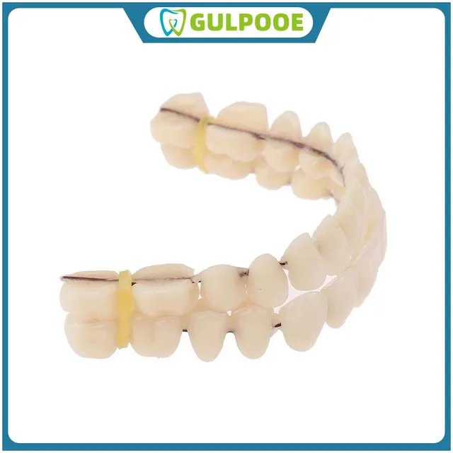 GULPOOE 1 Pair Resin Denture False Teeth Easy To Use Make Your Own Dental Training Models Make Your Own Improve Smile Dental