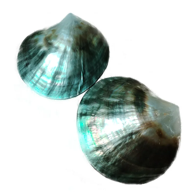 Vintageparts 4 Dischi Di Conchiglia Capiz 25 Mm – Verde Mare Con Effetto Olografico, Per Gioielli Fai Da Te - 4