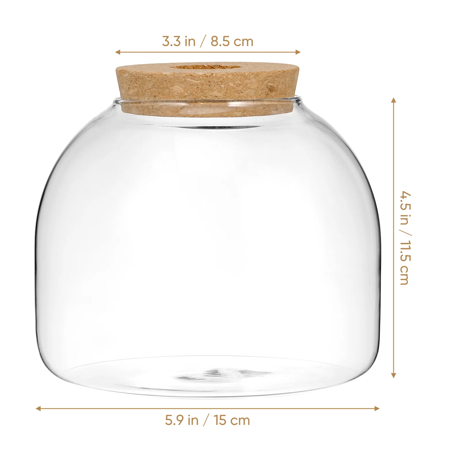Plant Terrarium Container Cork Glass Bottle Plant Terrarium Large Micro Landscape Flower Pots Ecosystem Small Container Bracket Cookie Jar Office