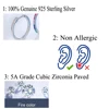 QooLady Multicolor Rainbow Round Hoop Earrings for Women 925 Sterling Silver Cubic Zirconia Daily Party Jewelry Gifts SE032 4