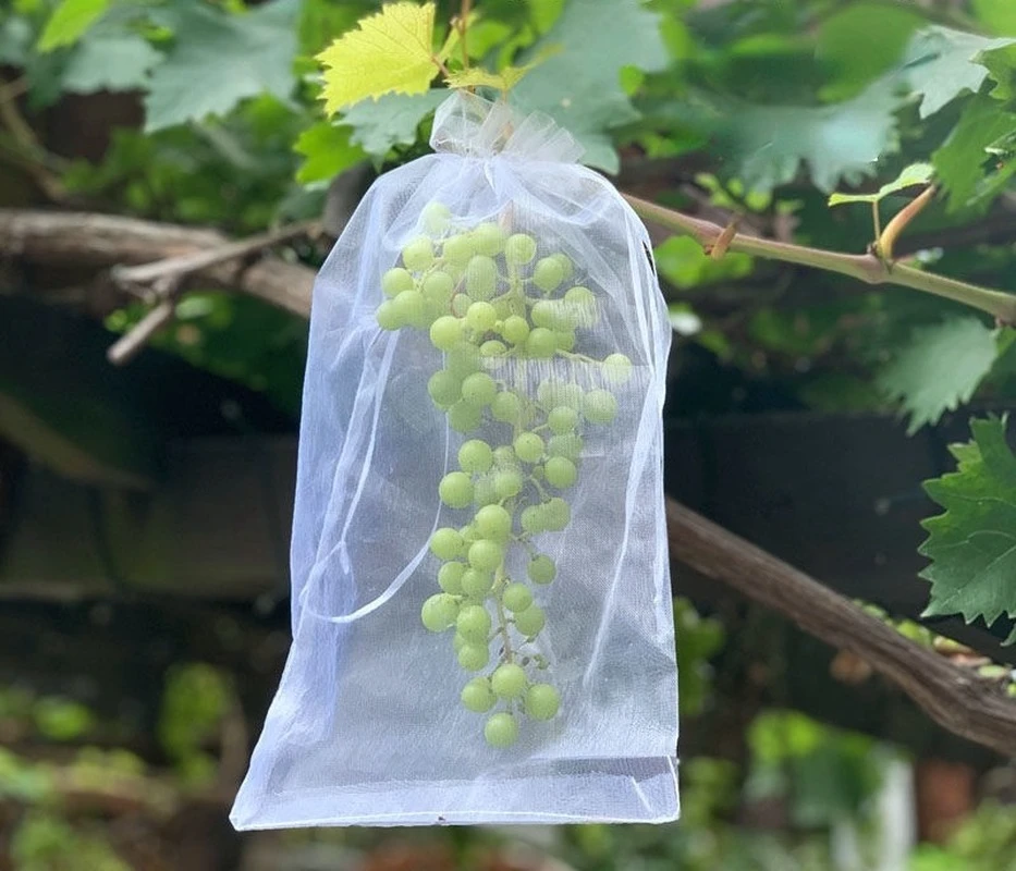 50/100PCS Grapes Garden Mesh Bags Fruit Protection Bags Agricultural Orchard Pest Control Anti