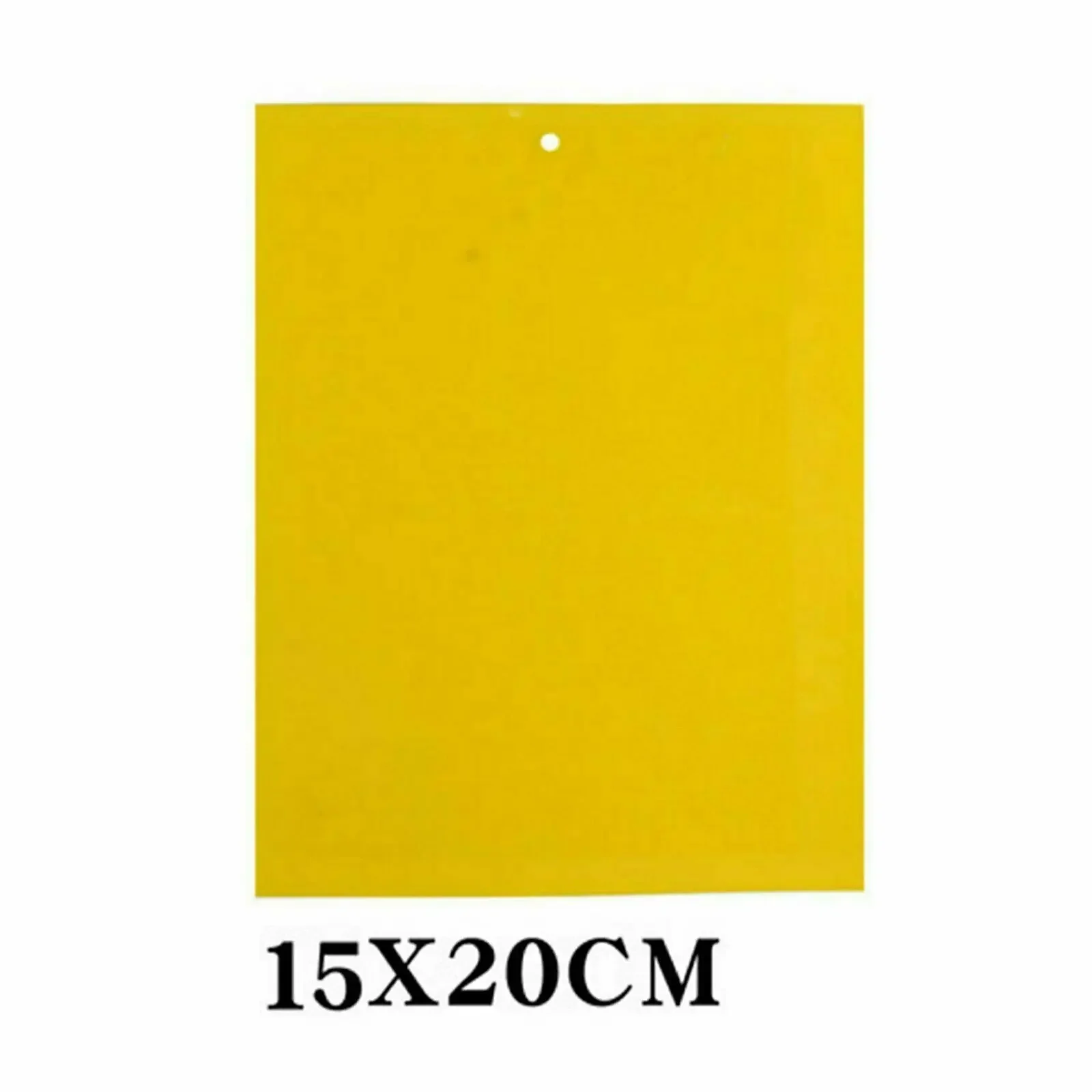 20 X 15