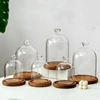 15*17cm Big Size Ball Top Glass Dome Vase Home Deocration Antique Base Transparent Cover Wedding Live Prop Birthday Gift 5