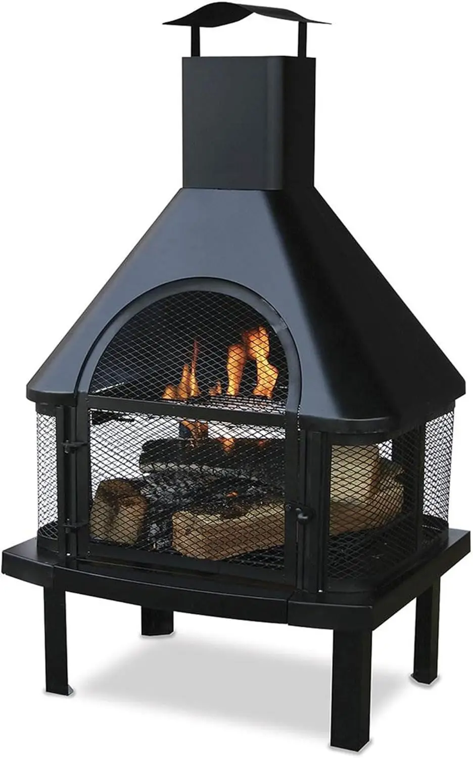 Wood Burning Fireplace 1