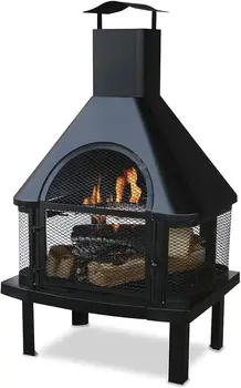 Wood Burning Fireplace 1
