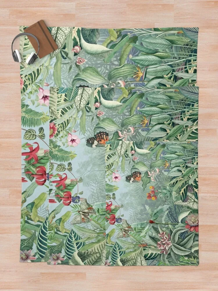 Ʈ������ �Ķ���̽� V ���ο� ���, �ִϸ��̼� ���� ���, ��Ʈ�� ���