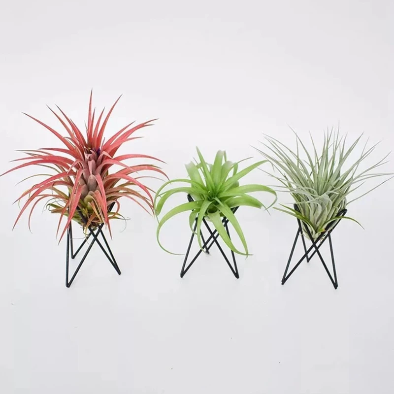 Plant Stand 1 Pcs Air Plant Holder Metal Flower Pot Stand Geometric Iron Tillandsia Display Art