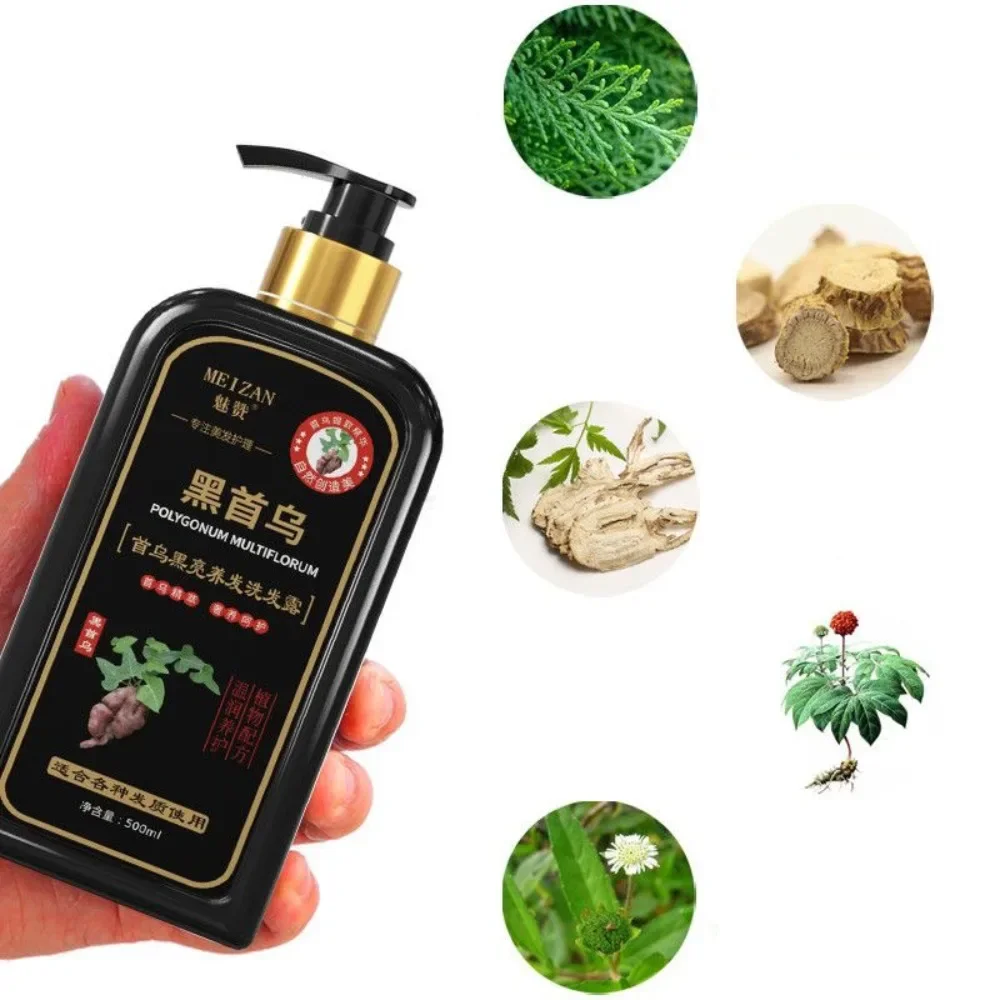 Platycypress Leaf Polygonum Herb Shampoo Nourishing Conditioner Improve White Hair for Thinning Hair Loss Growth for Men Women 5