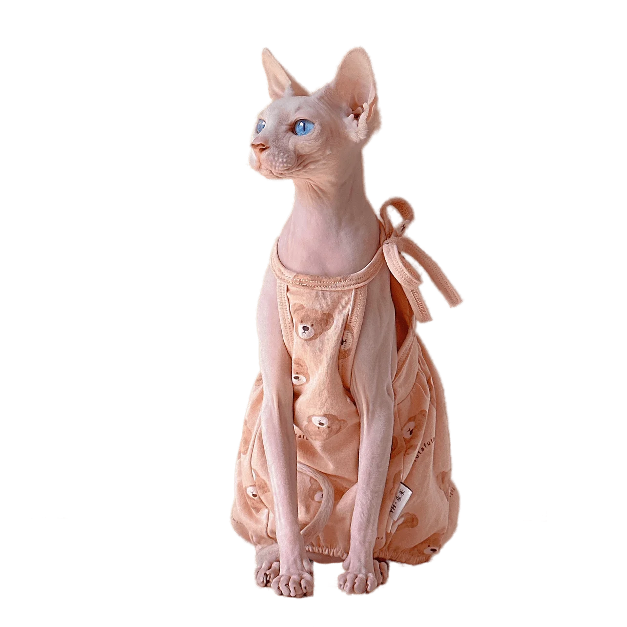 

Quality Fabric Devon Rex Cat Outfits, Thin Suspender Dress, Kitten Outfits, Sphynx Cat Costume, Hairless Cat Clothes, Summer