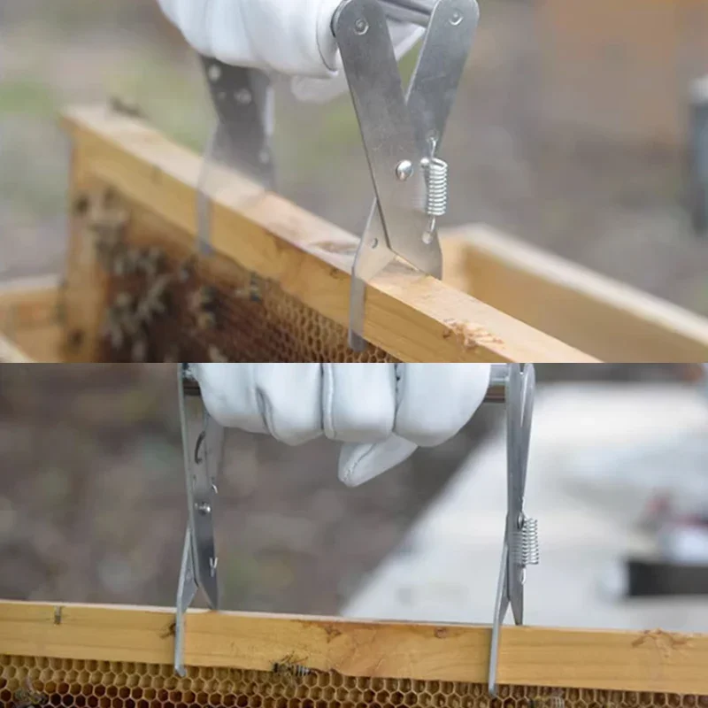 Beekeeping Tools Beekeeping Accessories Bee Hive Frame Holder Stainless Steel Capture Frame Grip Beehive Clip Clamp Grasp Beekeeping Accessories Increase Honey Bee Tool