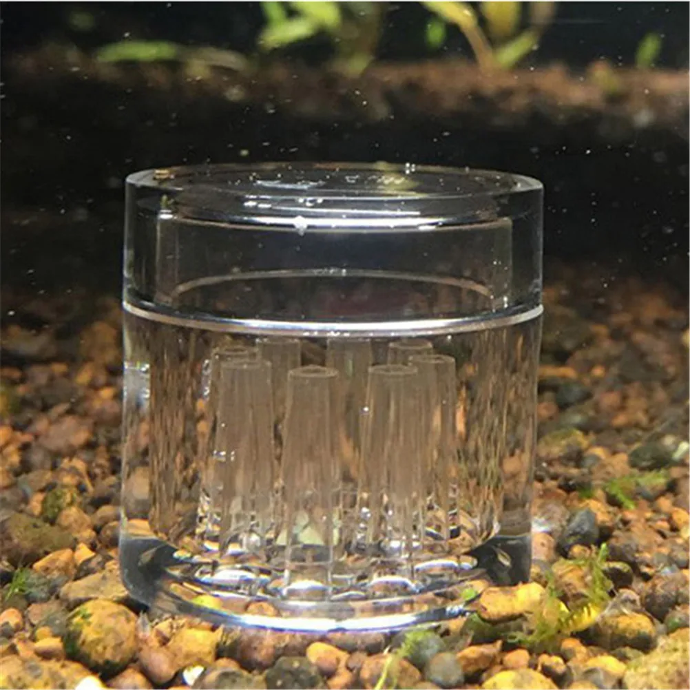 8 Hole Snail Trap Transparent Leech Vivarium Planarian Pest Catch Pen Red Bee Shrimp Worm Bait Feeding Box Aquarium Cleaner Tool