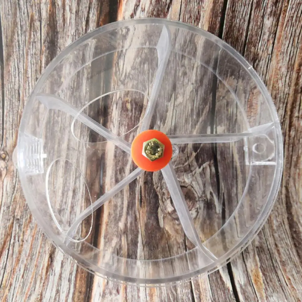 Ciotola Blu Resistente Al Morso Giocattolo Trasparente Per Uccelli Per Uccelli Mangiatoia Per Uccelli Da Addestramento Con Ruote Per Uccelli