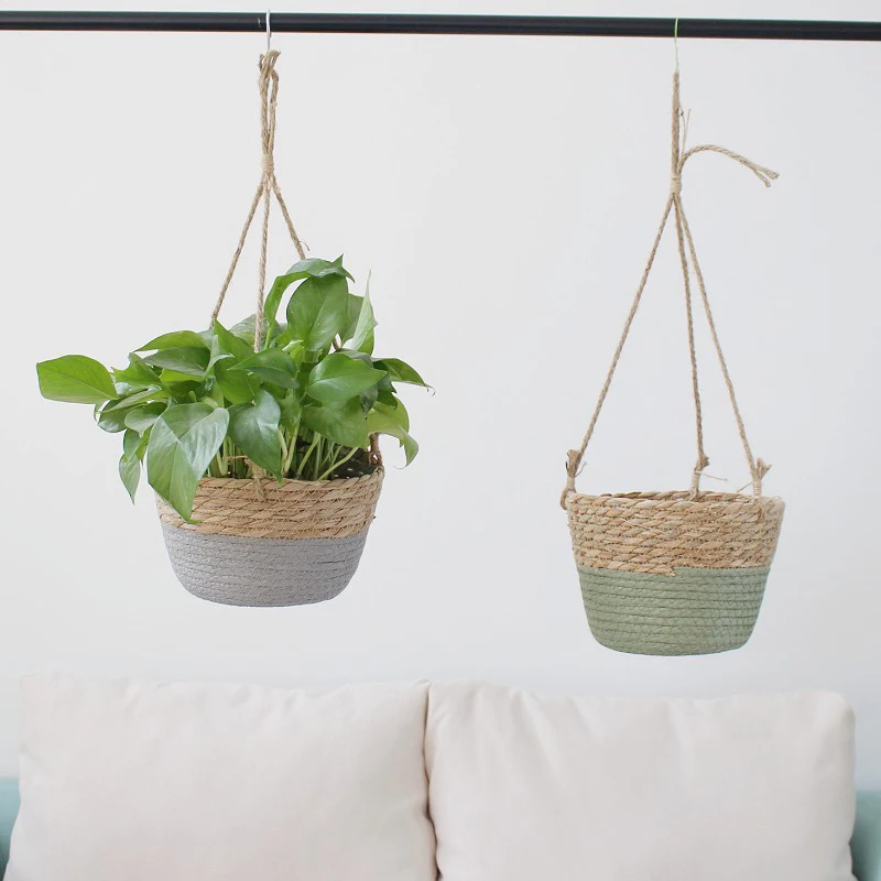 Stylish Hanging Planter