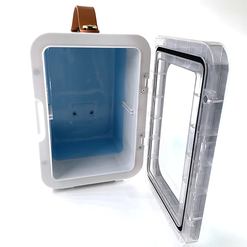 Home & Car Dual Refrigerator Mini Cosmetic Skincare Makeup Cooler Warmer Multifunctional Cooling Box 220V 110V 12V