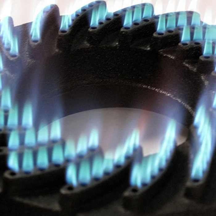 Factory Direct Cast Iron Gas Stove 40x40x15 cm 10kW Propane Butane Portable Cooker for Outdoor Class Energy Efficient Table 6