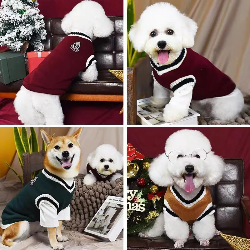 College Style Pet Sweater 6