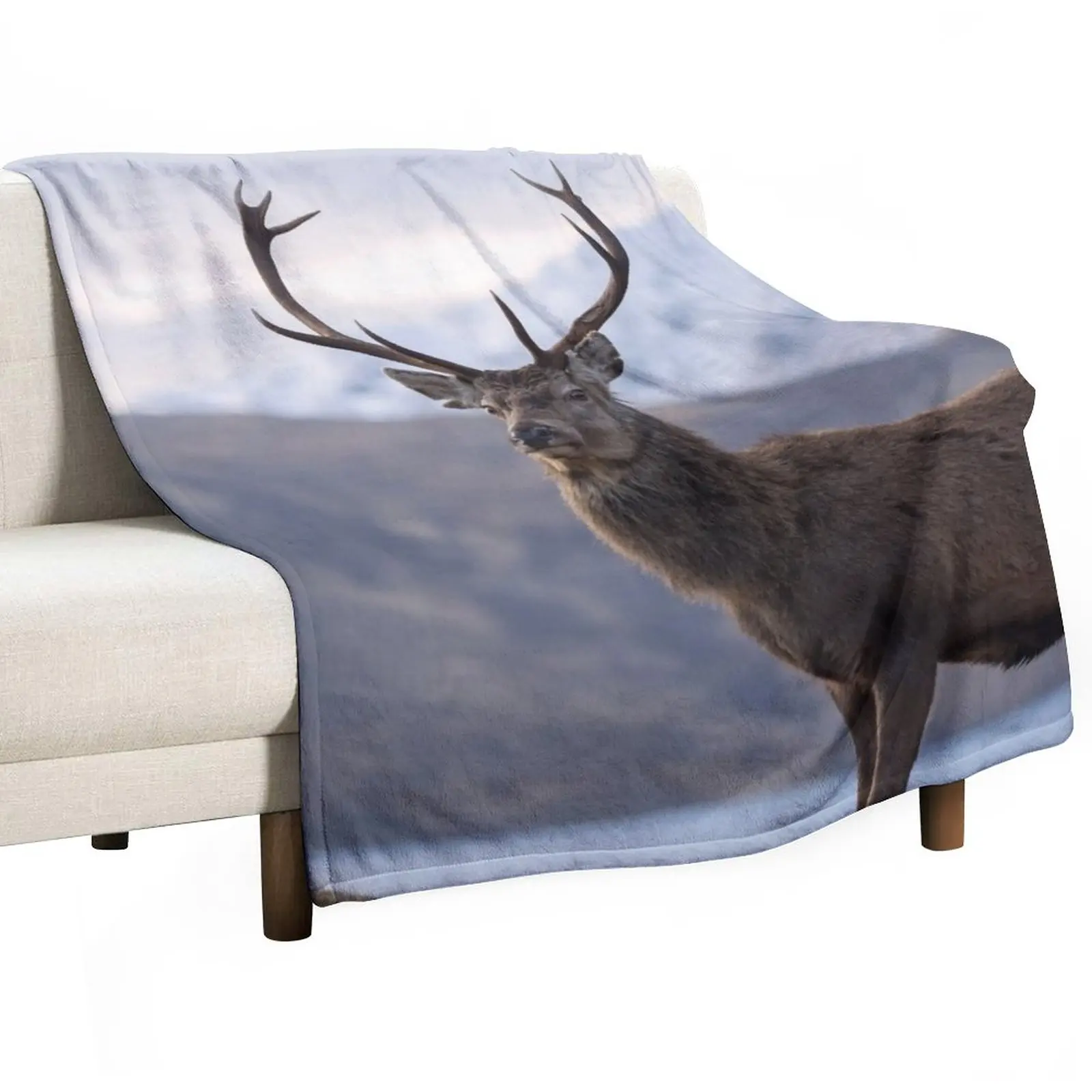 

Red Deer Stag in Highland Scotland Throw Blanket Picnic Giant Sofa Fluffy Shaggy Blankets